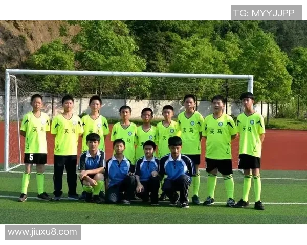 建湖足球之星的崛起与成就探秘，谁是这座城市的骄傲与代表